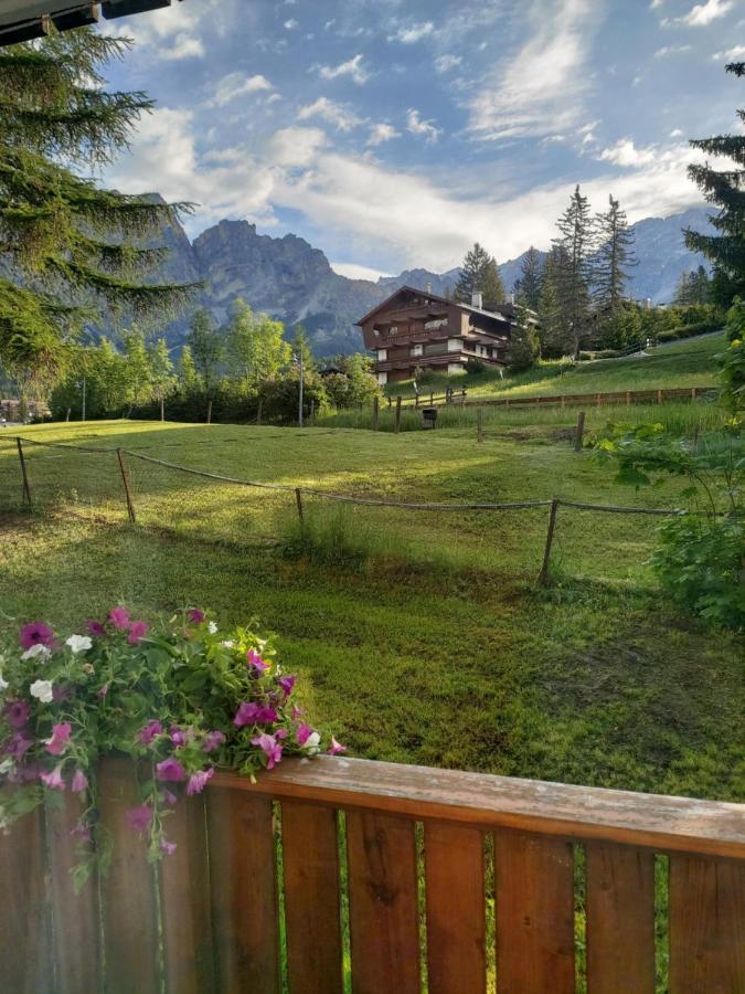 Appartamento Cortina 1956 Кортина-д'Ампеццо Экстерьер фото